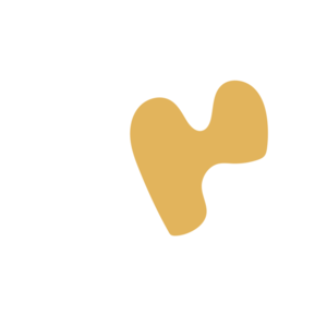 93e54ac7-placeholder-1770009348