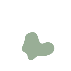 Db024a85-placeholder-1770014308