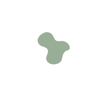 C24c6d57-placeholder-1770020158