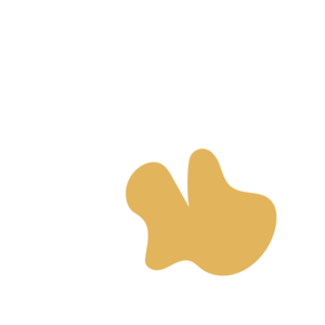 10720fcf-placeholder-1769997009