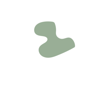 2e804bbc-placeholder-1770005135