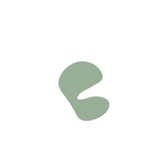 210242d9-placeholder-1770030367