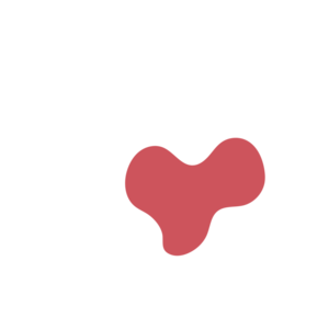 5a02555f-placeholder-1770009645