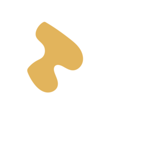 A72856fe-placeholder-1769995859