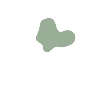 47076027-placeholder-1770084921