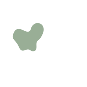 C283c411-placeholder-1770050588