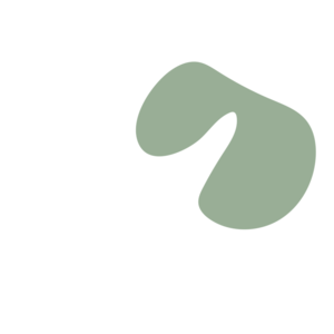 622c4233-placeholder-1770017384