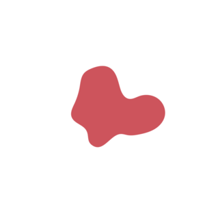 58d4b494-placeholder-1770006303