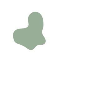 8d2473ab-placeholder-1770006395