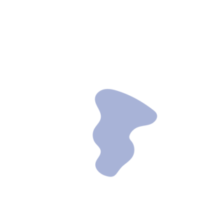 5f8651de-placeholder-1770008976