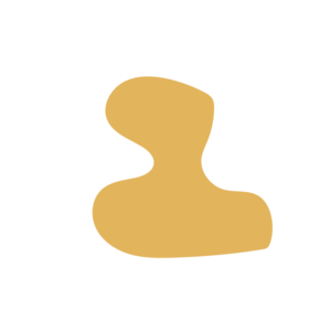 01b8c647-placeholder-1770056280