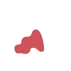 79bd9bc4-placeholder-1770006923