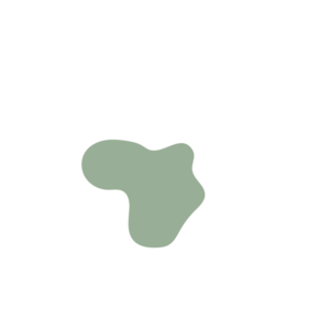 D9bb4bea-placeholder-1770005133