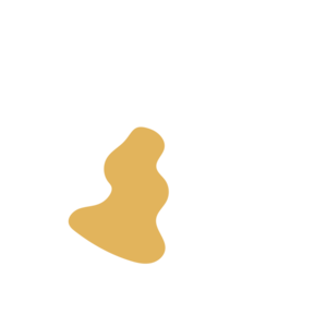 F2ac198e-placeholder-1770022109