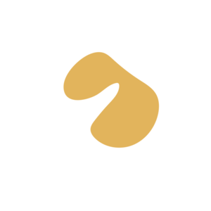 Ba7a5494-placeholder-1770055547