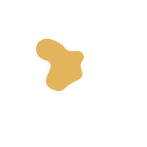 E14ebc07-placeholder-1770005597