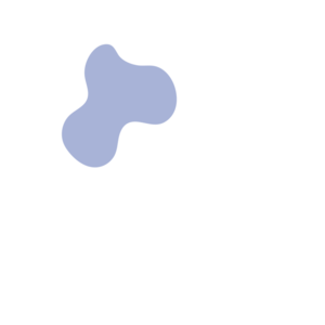 104e793c-placeholder-1770009436