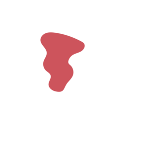 Cbd1fd4c-placeholder-1770022189