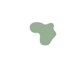 Cfeee329-placeholder-1770009184