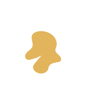 Ab90df51-placeholder-1770010879