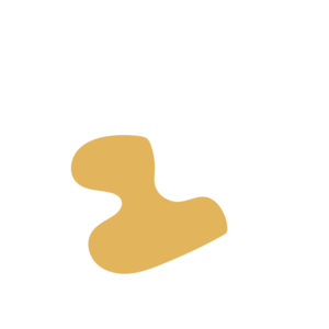 751511c8-placeholder-1769110023