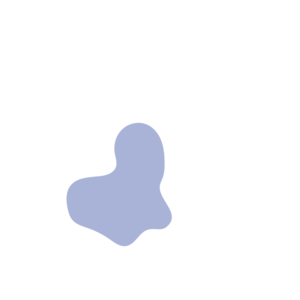 550473c1-placeholder-1770021998