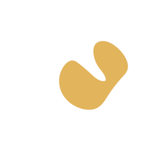 C05081ff-placeholder-1770021071