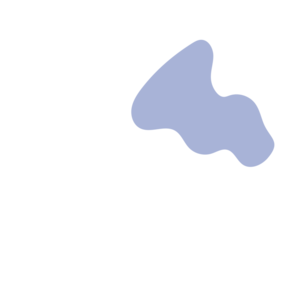 9165dc1e-placeholder-1770005051