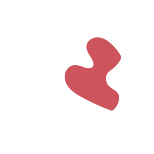 9aac2c52-placeholder-1771565290