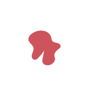 539c8742-placeholder-1770052511