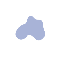 E63dfd8e-placeholder-1770282175