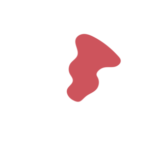 08075c29-placeholder-1770013056