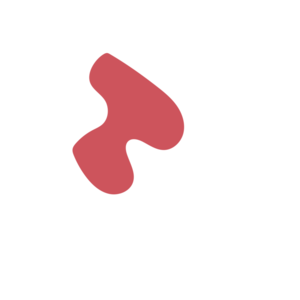 E54f5433-placeholder-1770009348