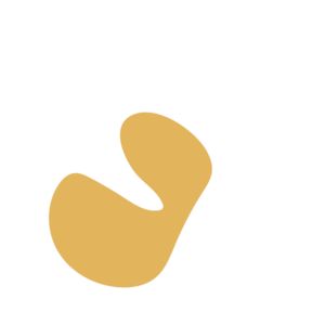 84618131-placeholder-1770053155