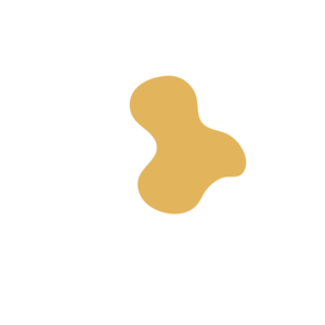 57034ede-placeholder-1770011427