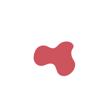 28fab949-placeholder-1770056315