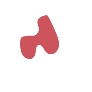 60bace1e-placeholder-1770053610