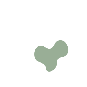 9c2bd58d-placeholder-1770014161