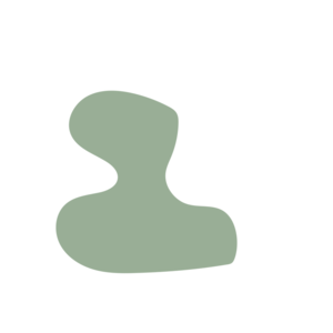 2e61e913-placeholder-1770019340