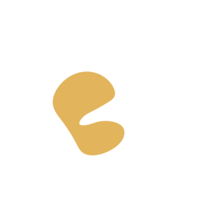 68e3ba0b-placeholder-1770010211