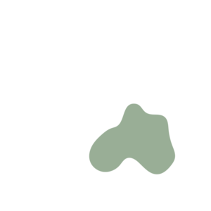 922cbcee-placeholder-1770016207