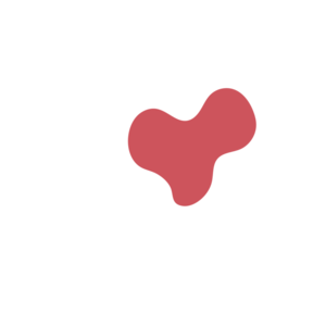 02f6626e-placeholder-1770029942