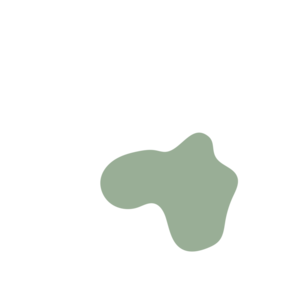 Eaa6d0b2-placeholder-1770008256