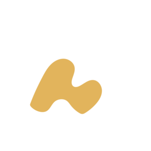 38cf5153-placeholder-1770007209