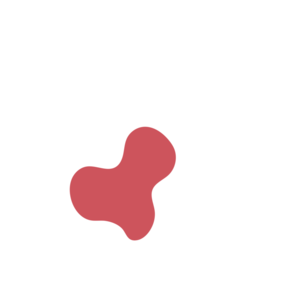 Ceae768f-placeholder-1770024599