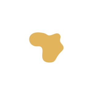 7e3f5191-placeholder-1770020898