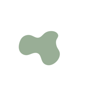 C69f2510-placeholder-1770008256