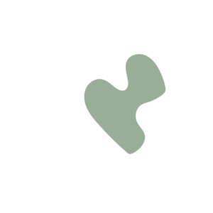 85587074-placeholder-1770016555