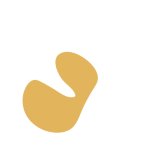 8fa87865-placeholder-1770017339