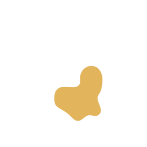 8b3398c0-placeholder-1770015978